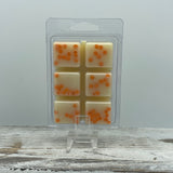 Birthday Farts - Soy Wax Melt